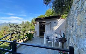 La casa degli Ulivi